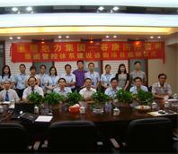 電力集團(tuán)管控精細(xì)化 戰(zhàn)略轉(zhuǎn)型與效率提升的必由之路